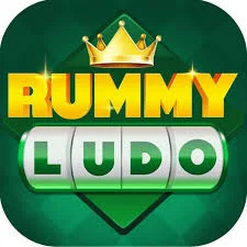 Yono 101